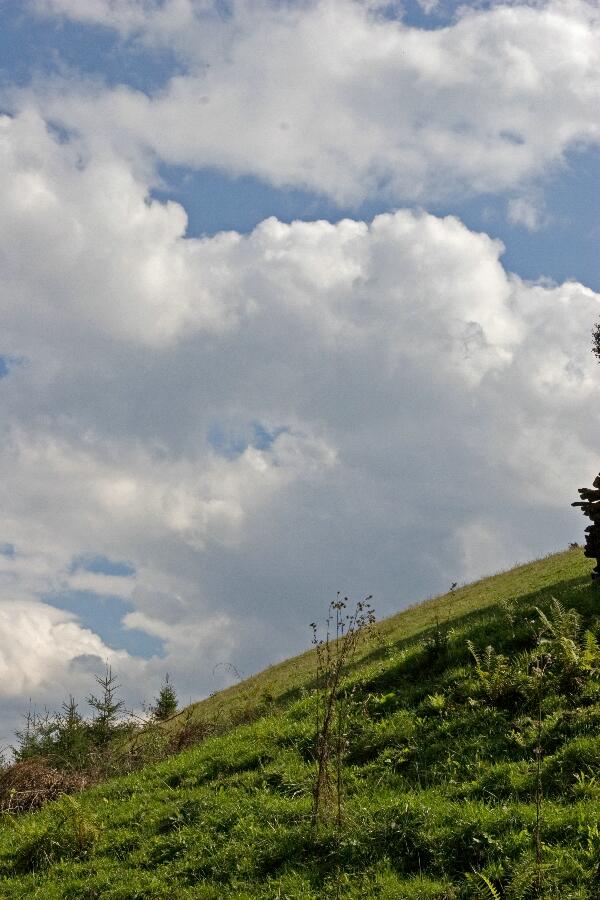 Foto 3/24 (nahe Hausstein bei Frankenfels, Pielachtal)